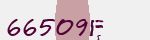 Mã bảo mật